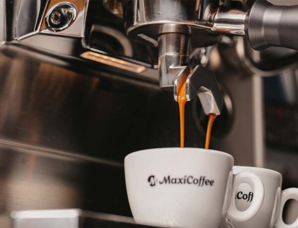 les cafes a utiliser dans les bars