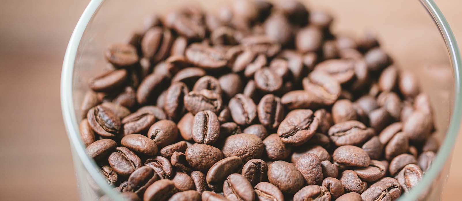 How to Store Coffee Beans: The Ultimate Guide