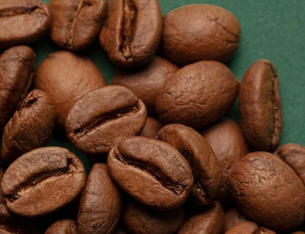 best organic coffee beans top 5