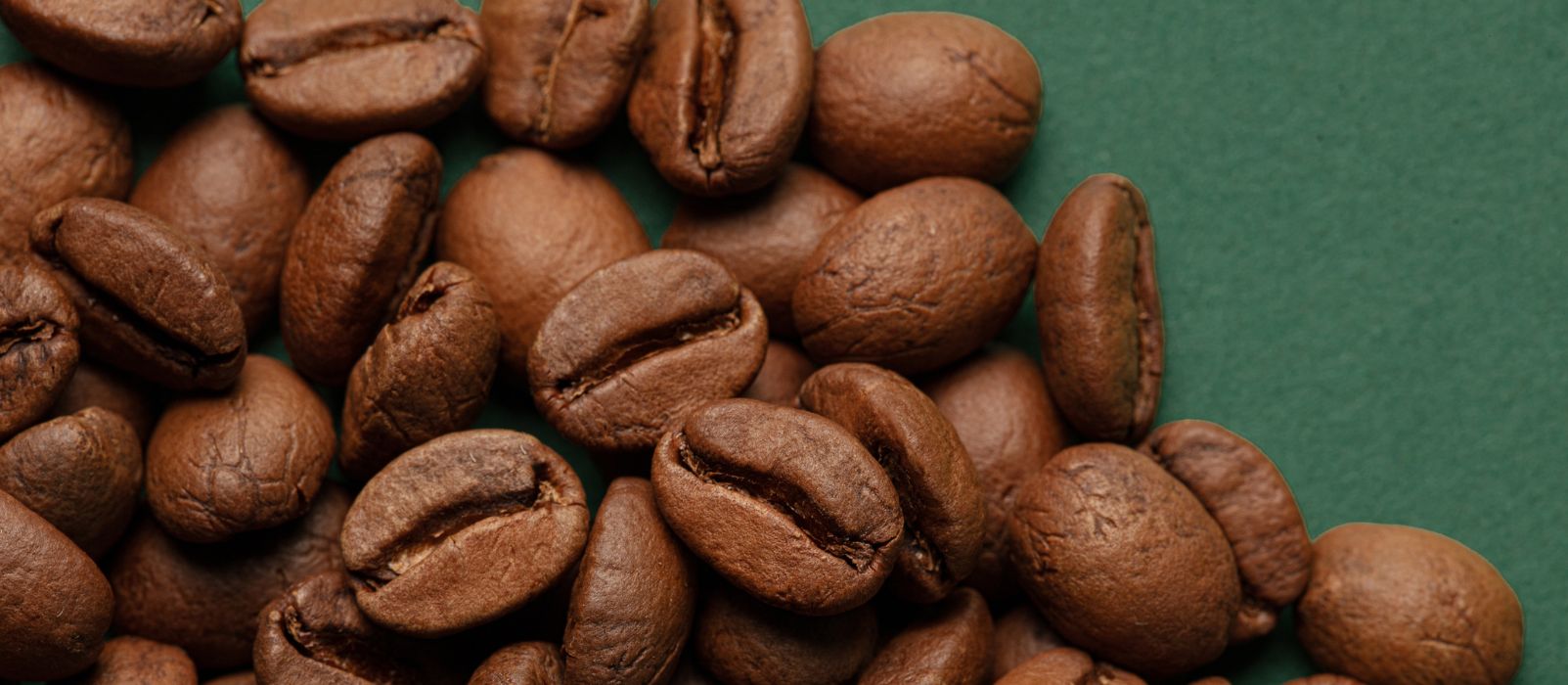 The Best Organic Coffee Beans: Our Selection